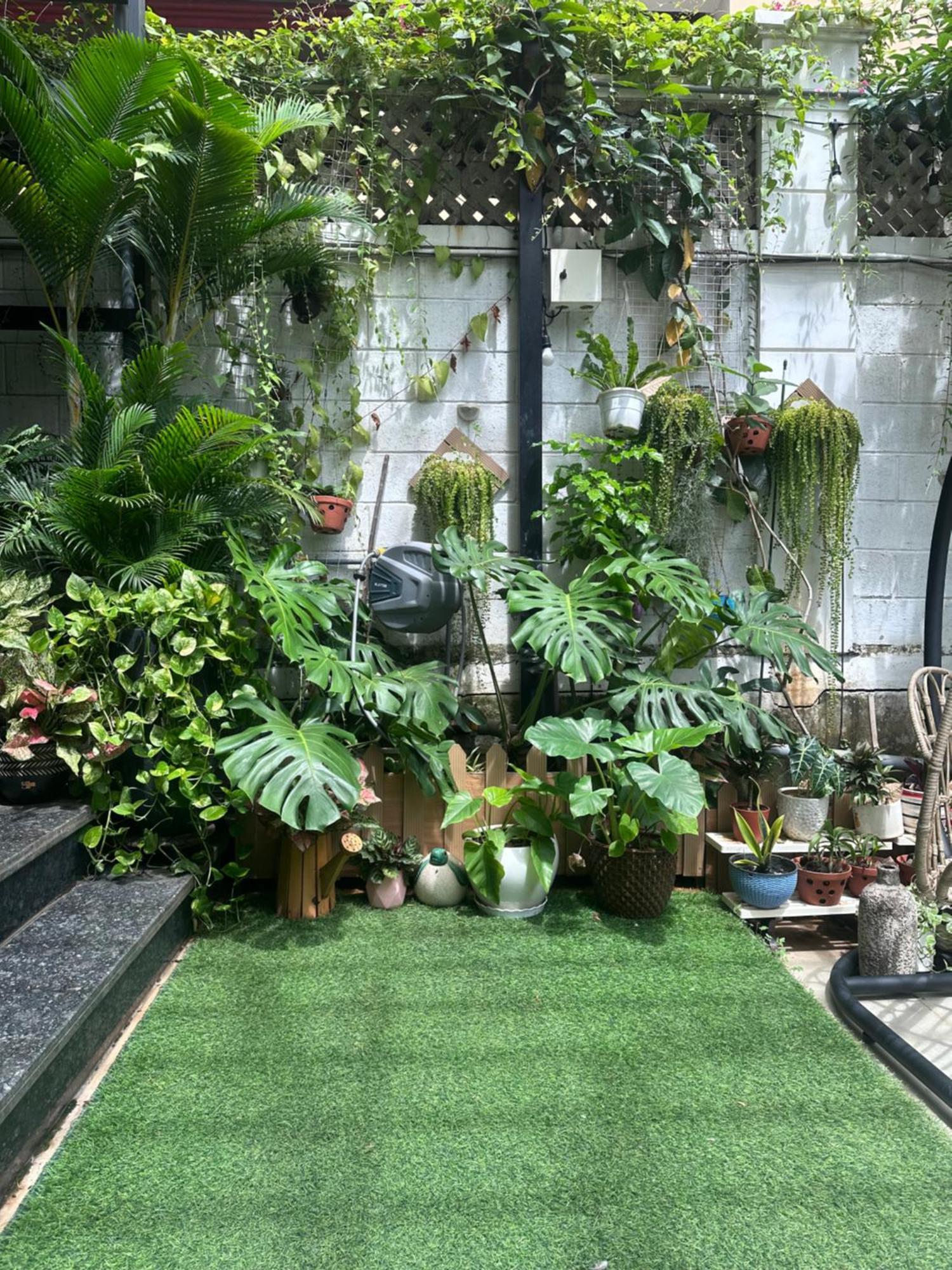 Apartment Homey *