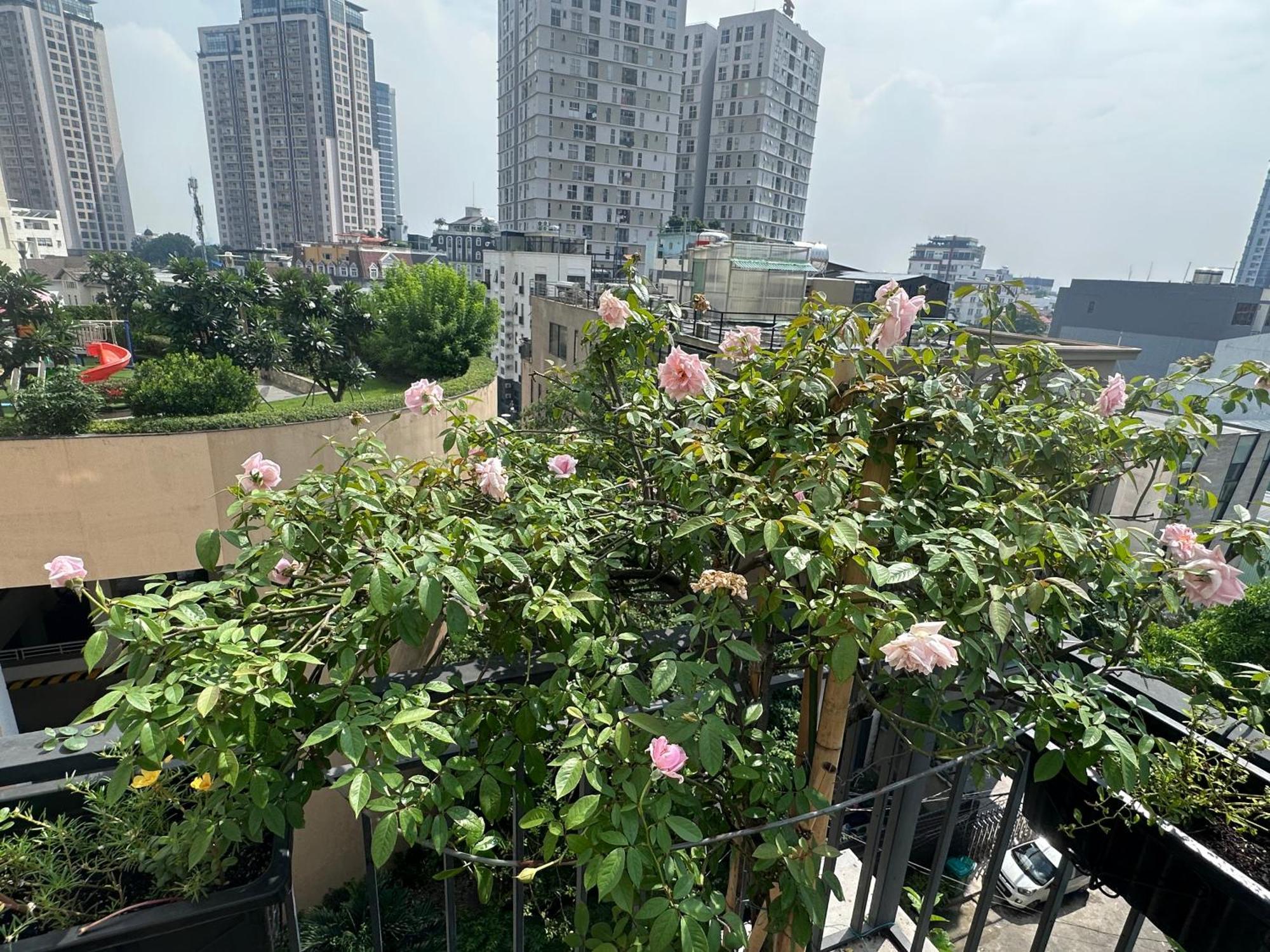 Homey Ho Chi Minh City